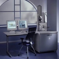 扫描电子显微镜(FEI)