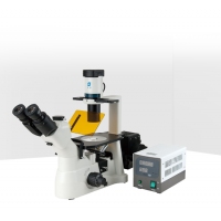 SOPTOP舜宇 XD系列倒置荧光显微镜