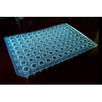 PCR板