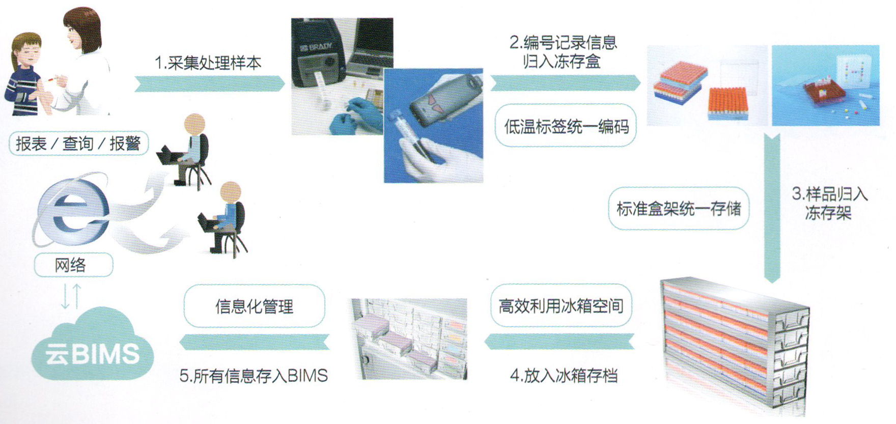 Fluidx自动化样本处理方案流程