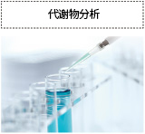代谢物分析